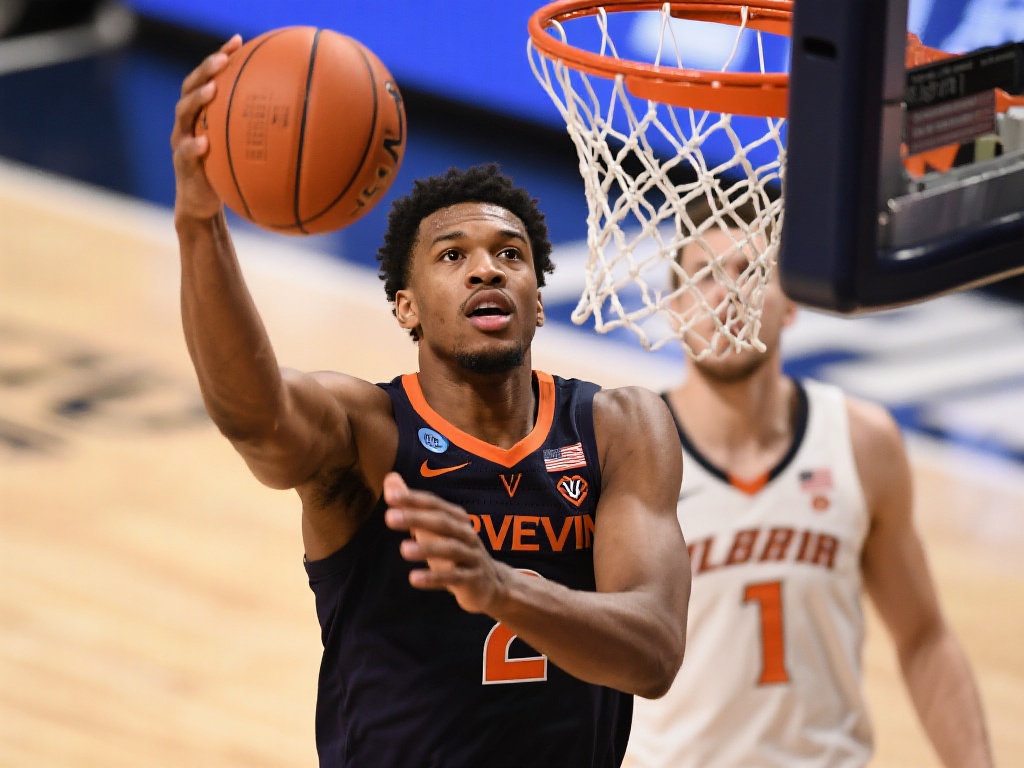 了气候适宜 了气候适宜