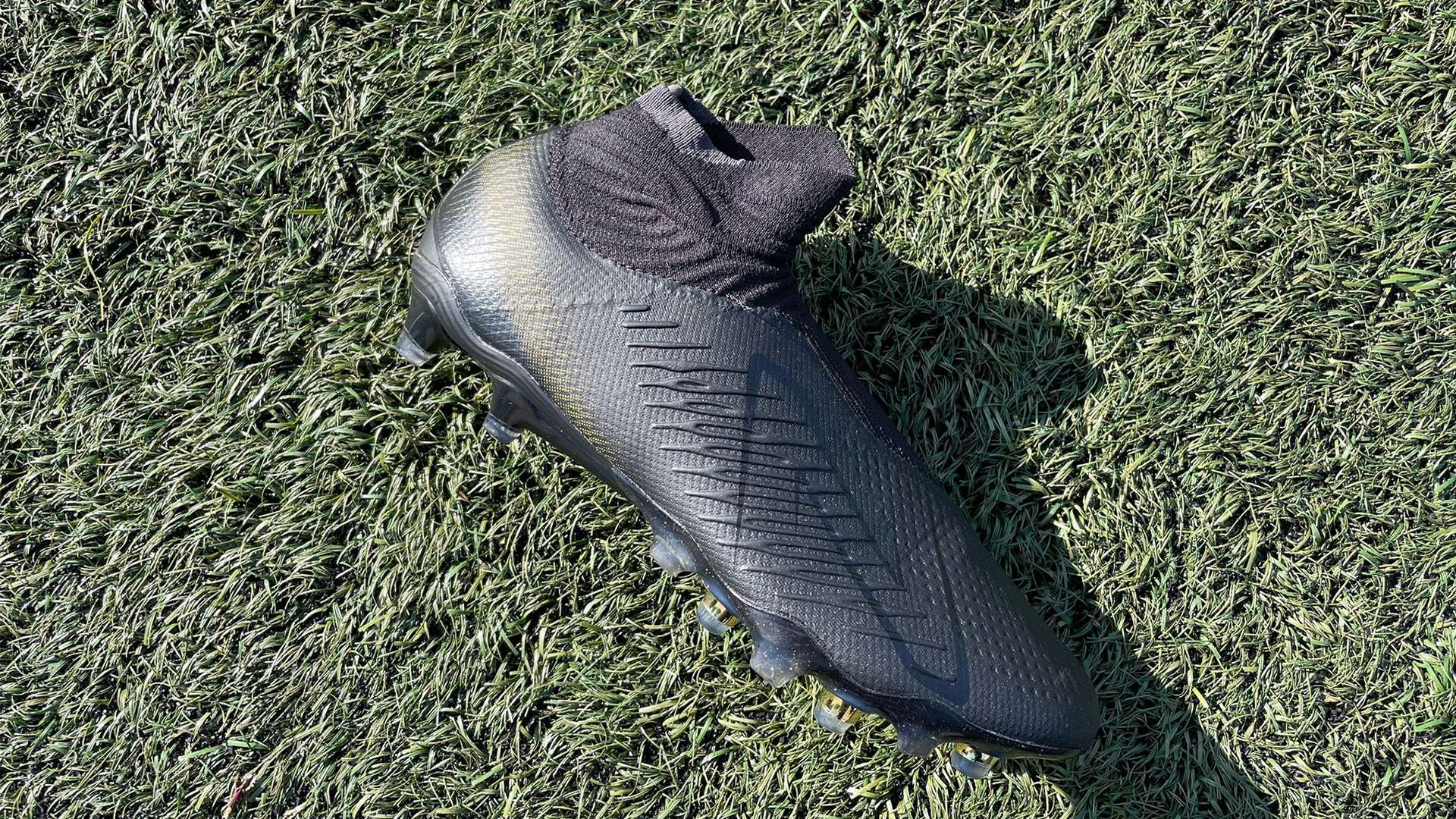 是他们将从 是他们将从